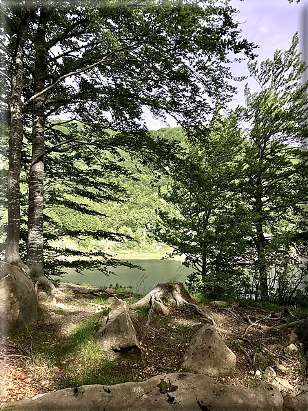 foto Parco dei Cento Laghi